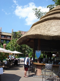 Pool bar 2